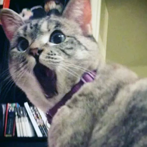 1524479644811927.png 图片9.png