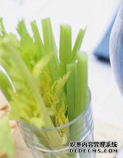 美体,减肥,蔬菜,攻略,解毒,苦丁 美体,减肥,蔬菜,攻略,解毒,苦丁